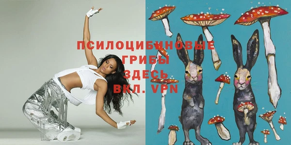 a pvp Алексеевка