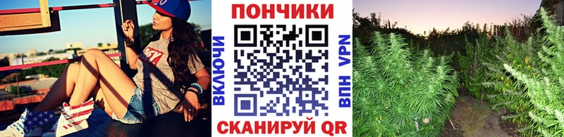 МАРИХУАНА индика  магазин продажи   Ленинск 
